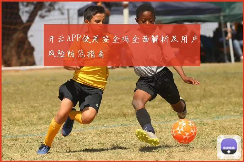 开云APP使用安全吗全面解析及用户风险防范指南