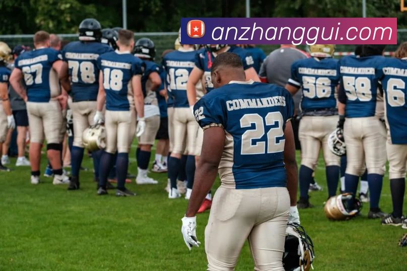 开云app平台生态图